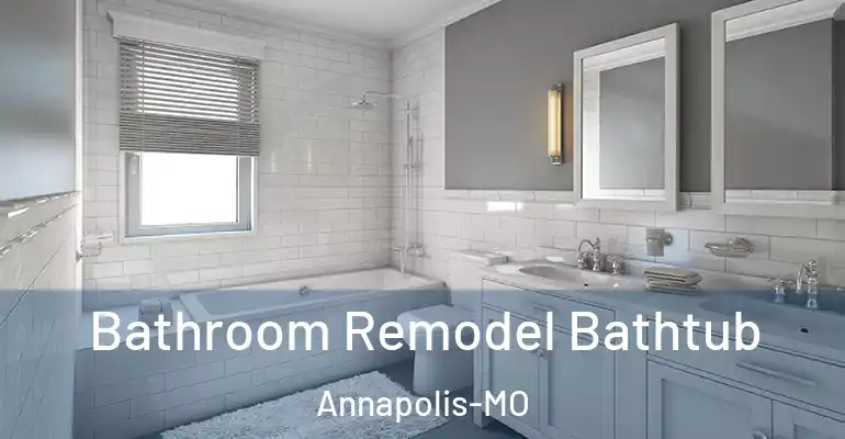 inner Bathroom imggen Bathroom Remodel Bathtub Annapolis-MO