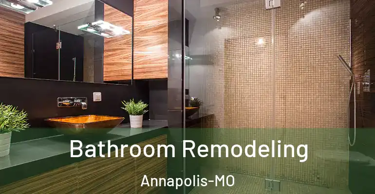 inner Bathroom imggen Bathroom Remodeling Annapolis-MO