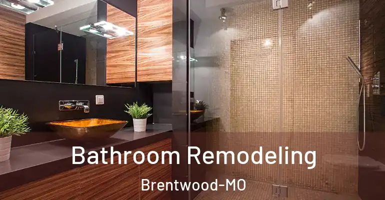 inner Bathroom imggen Bathroom Remodeling Brentwood-MO