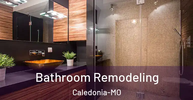 inner Bathroom imggen Bathroom Remodeling Caledonia-MO