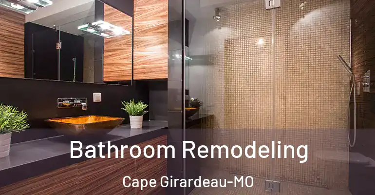 inner Bathroom imggen Bathroom Remodeling Cape Girardeau-MO