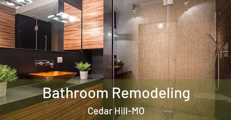 inner Bathroom imggen Bathroom Remodeling Cedar Hill-MO