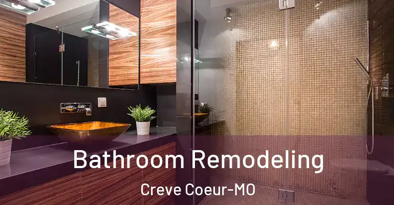 inner Bathroom imggen Bathroom Remodeling Creve Coeur-MO
