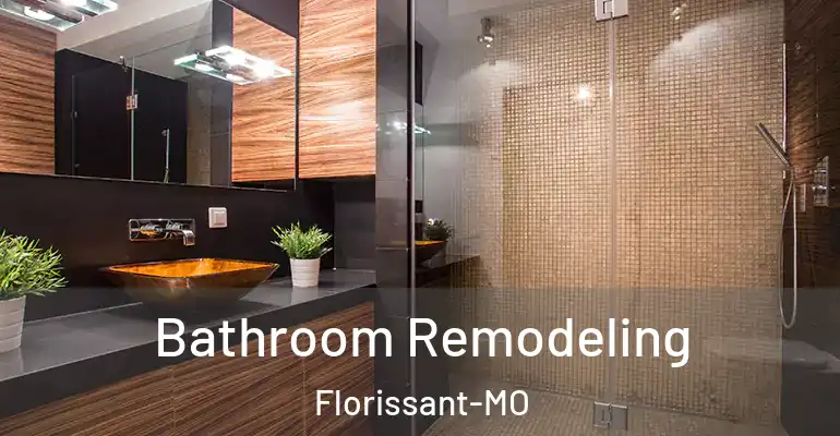 inner Bathroom imggen Bathroom Remodeling Florissant-MO