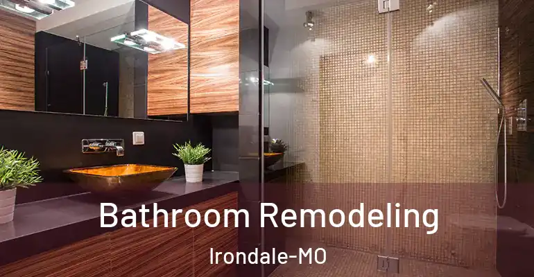inner Bathroom imggen Bathroom Remodeling Irondale-MO