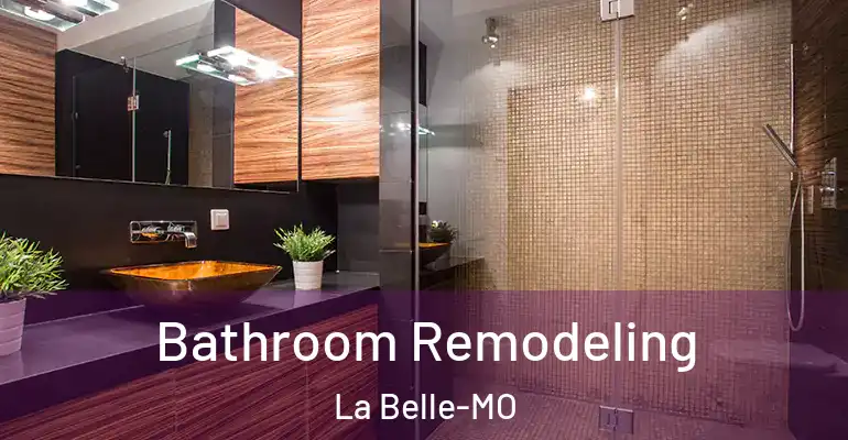 inner Bathroom imggen Bathroom Remodeling La Belle-MO