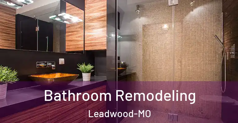 inner Bathroom imggen Bathroom Remodeling Leadwood-MO