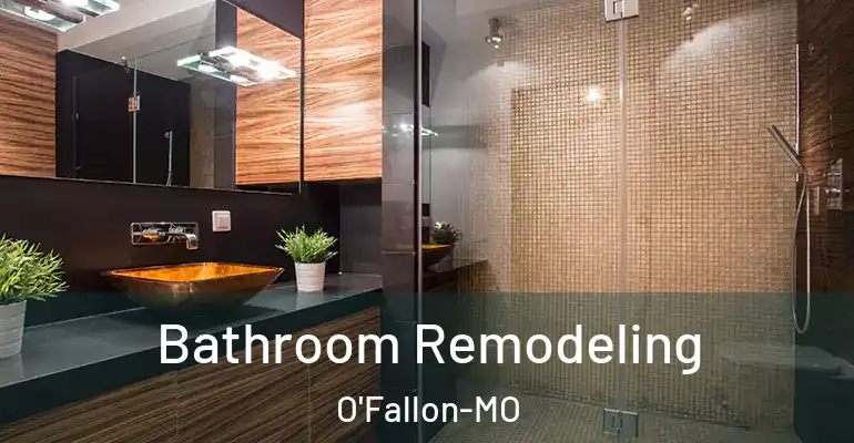 inner Bathroom imggen Bathroom Remodeling O'Fallon-MO
