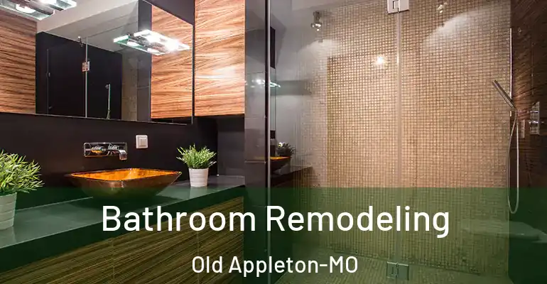 inner Bathroom imggen Bathroom Remodeling Old Appleton-MO