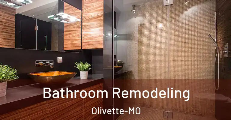 inner Bathroom imggen Bathroom Remodeling Olivette-MO