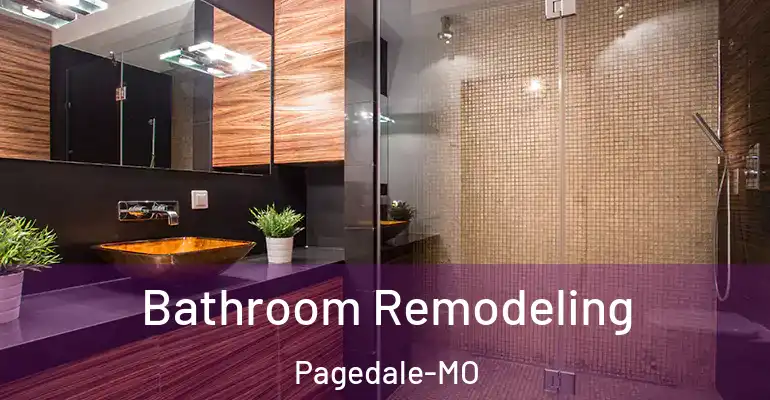 inner Bathroom imggen Bathroom Remodeling Pagedale-MO