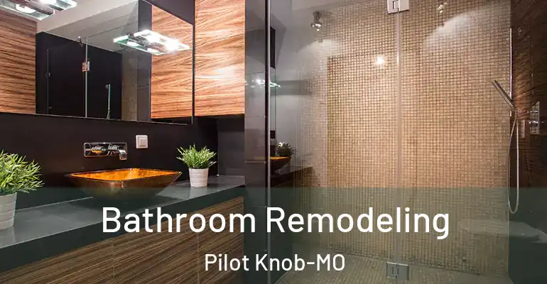inner Bathroom imggen Bathroom Remodeling Pilot Knob-MO