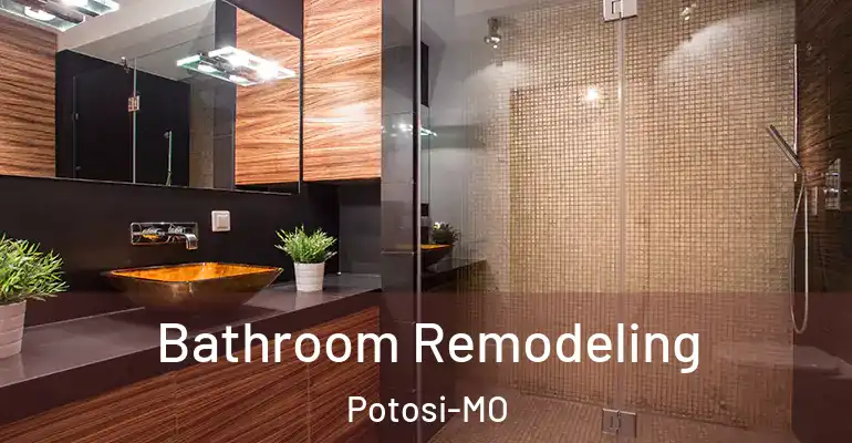 inner Bathroom imggen Bathroom Remodeling Potosi-MO
