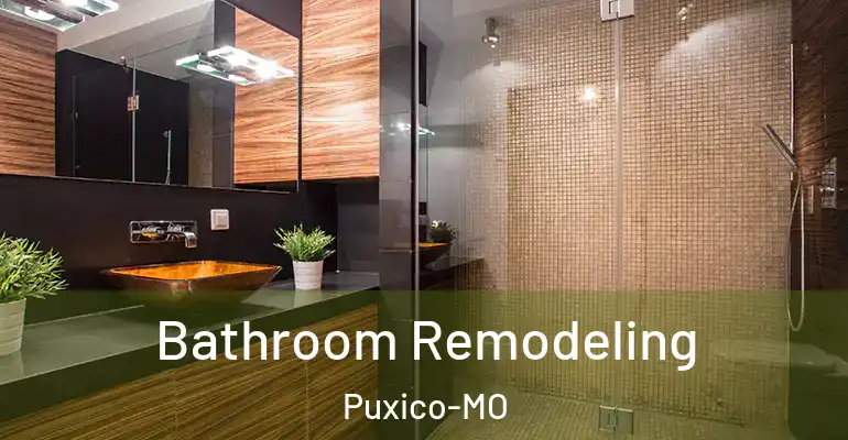 inner Bathroom imggen Bathroom Remodeling Puxico-MO
