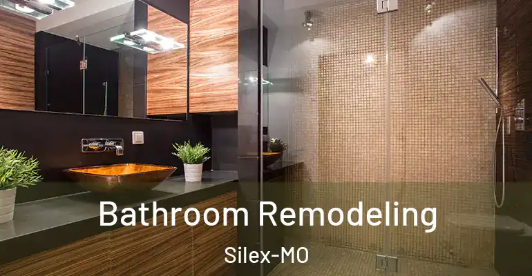 inner Bathroom imggen Bathroom Remodeling Silex-MO