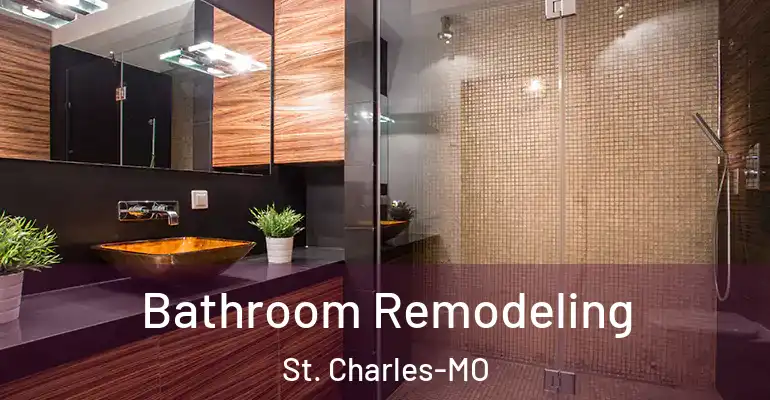 inner Bathroom imggen Bathroom Remodeling St. Charles-MO