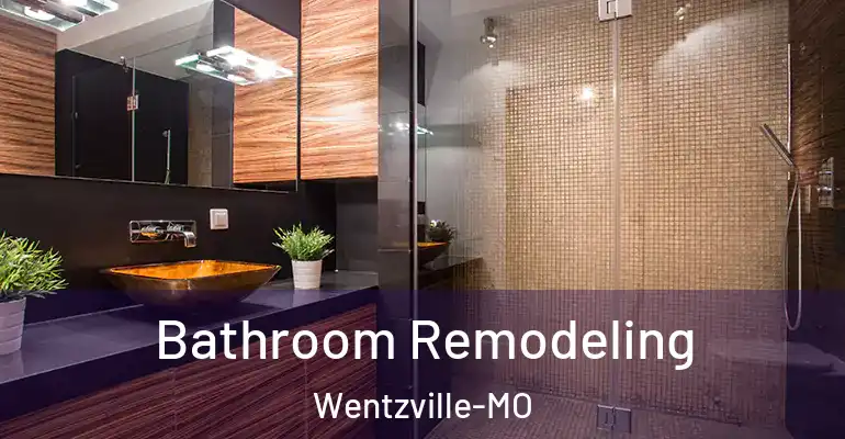 inner Bathroom imggen Bathroom Remodeling Wentzville-MO
