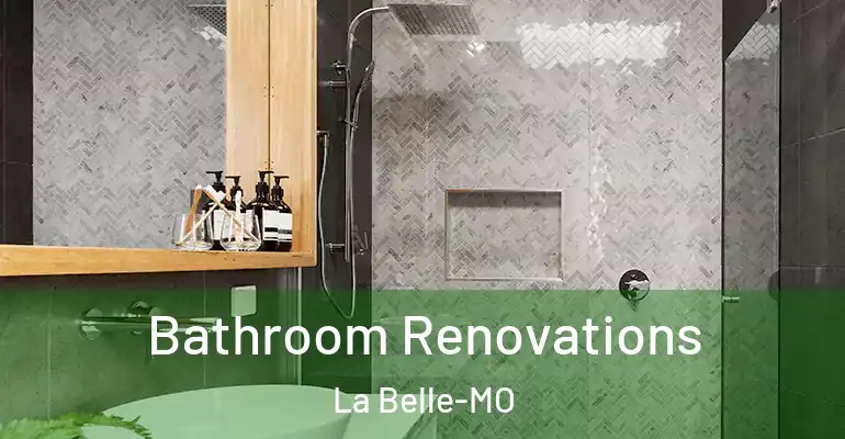 inner Bathroom imggen Bathroom Renovations La Belle-MO