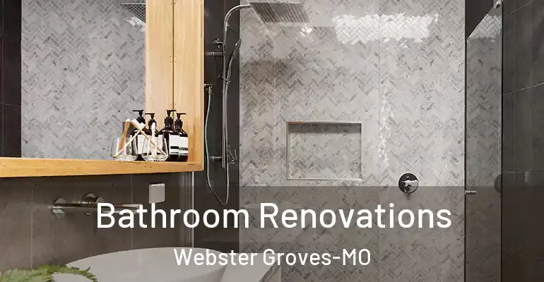 inner Bathroom imggen Bathroom Renovations Webster Groves-MO