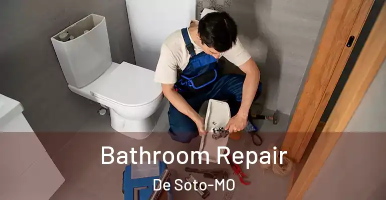 inner Bathroom imggen Bathroom Repair De Soto-MO