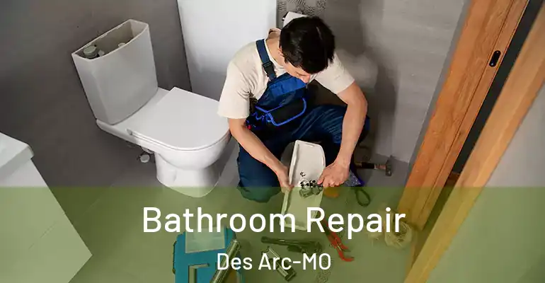 inner Bathroom imggen Bathroom Repair Des Arc-MO