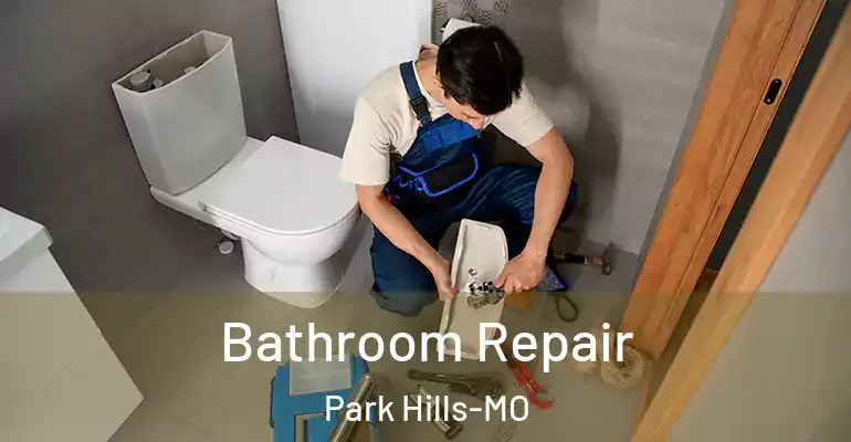 inner Bathroom imggen Bathroom Repair Park Hills-MO
