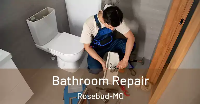 inner Bathroom imggen Bathroom Repair Rosebud-MO
