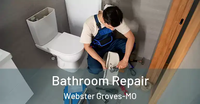 inner Bathroom imggen Bathroom Repair Webster Groves-MO