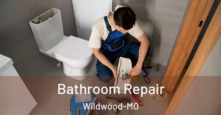 inner Bathroom imggen Bathroom Repair Wildwood-MO
