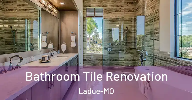 inner Bathroom imggen Bathroom Tile Renovation Ladue-MO