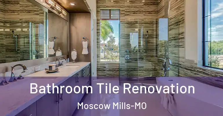 inner Bathroom imggen Bathroom Tile Renovation Moscow Mills-MO