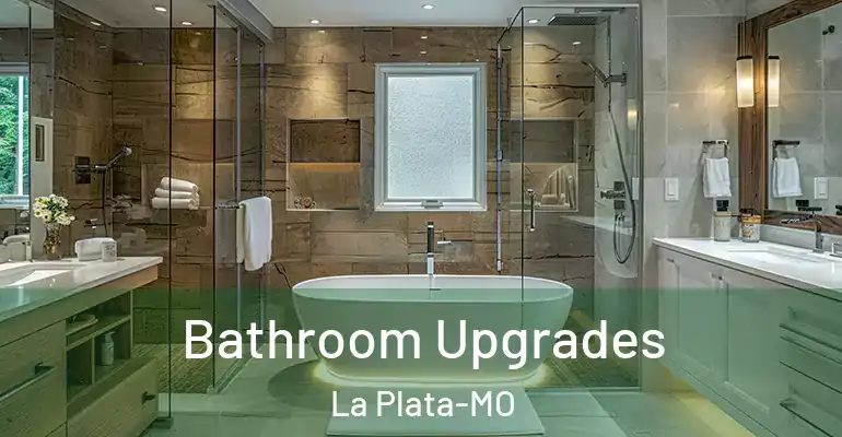 inner Bathroom imggen Bathroom Upgrades La Plata-MO