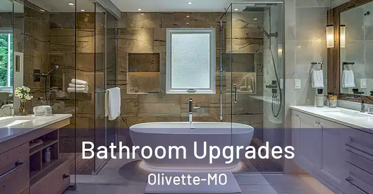 inner Bathroom imggen Bathroom Upgrades Olivette-MO