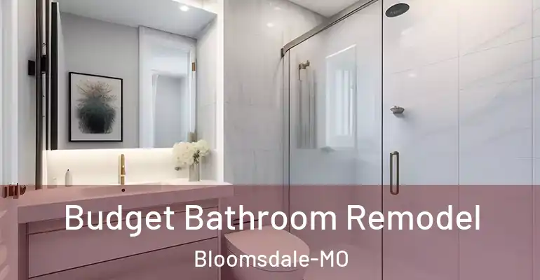 inner Bathroom imggen Budget Bathroom Remodel Bloomsdale-MO