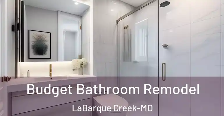 inner Bathroom imggen Budget Bathroom Remodel LaBarque Creek-MO