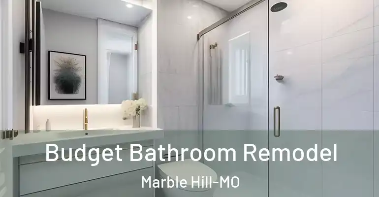 inner Bathroom imggen Budget Bathroom Remodel Marble Hill-MO