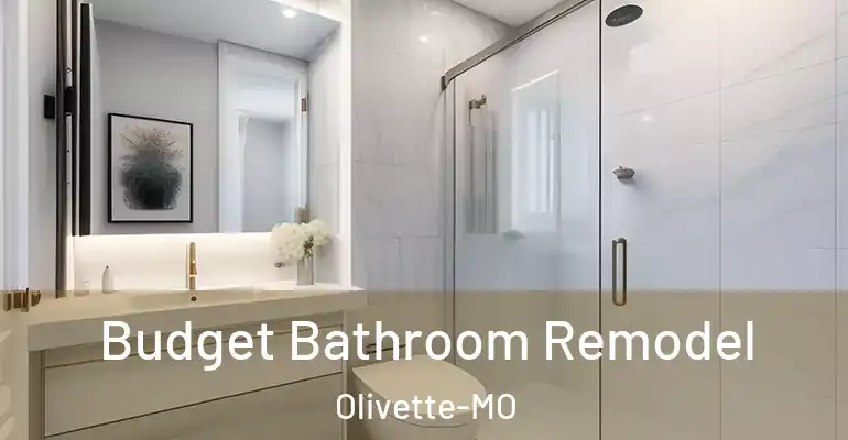 inner Bathroom imggen Budget Bathroom Remodel Olivette-MO
