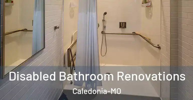 inner Bathroom imggen Disabled Bathroom Renovations Caledonia-MO