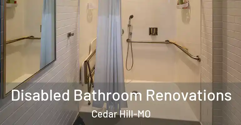 inner Bathroom imggen Disabled Bathroom Renovations Cedar Hill-MO