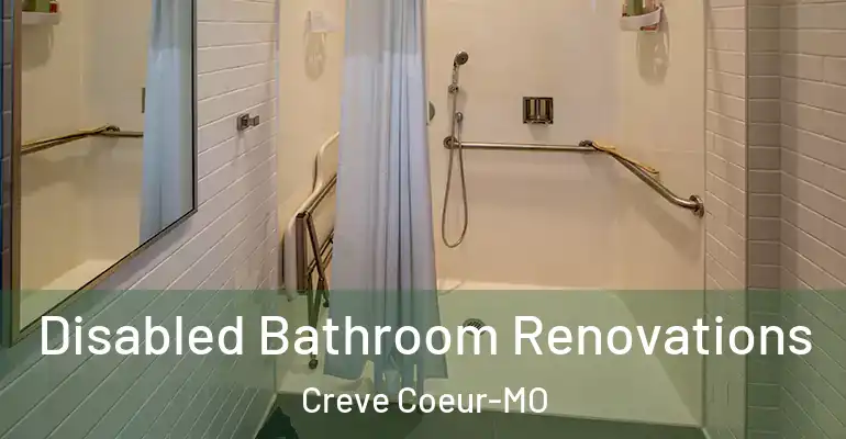 inner Bathroom imggen Disabled Bathroom Renovations Creve Coeur-MO