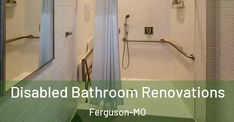 inner Bathroom imggen Disabled Bathroom Renovations Ferguson-MO
