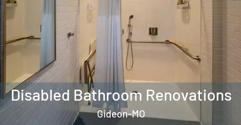 inner Bathroom imggen Disabled Bathroom Renovations Gideon-MO