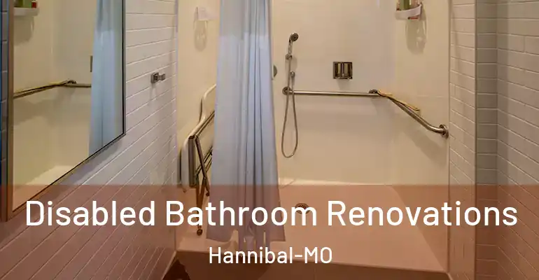 inner Bathroom imggen Disabled Bathroom Renovations Hannibal-MO