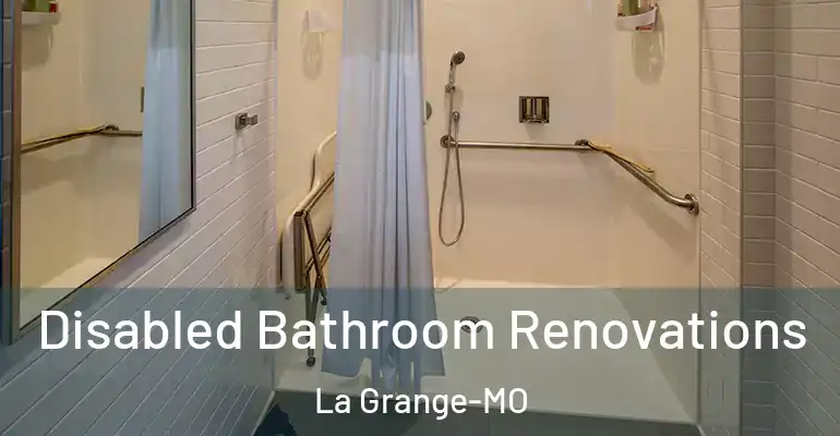 inner Bathroom imggen Disabled Bathroom Renovations La Grange-MO