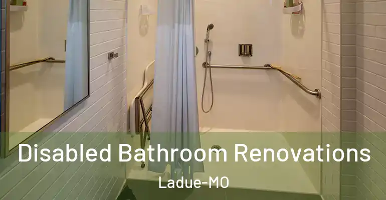 inner Bathroom imggen Disabled Bathroom Renovations Ladue-MO