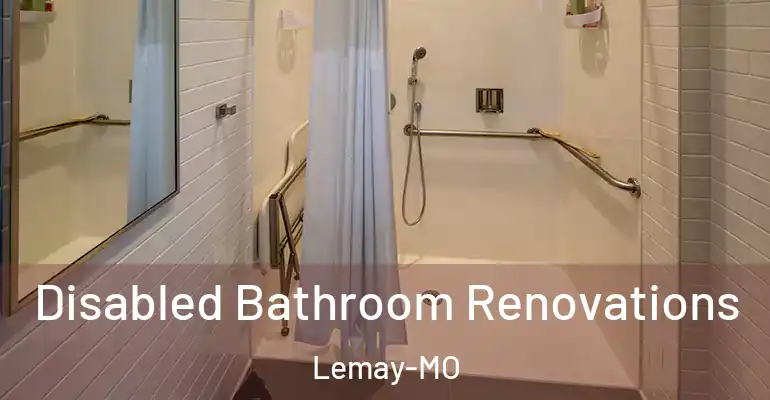 inner Bathroom imggen Disabled Bathroom Renovations Lemay-MO