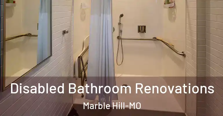 inner Bathroom imggen Disabled Bathroom Renovations Marble Hill-MO