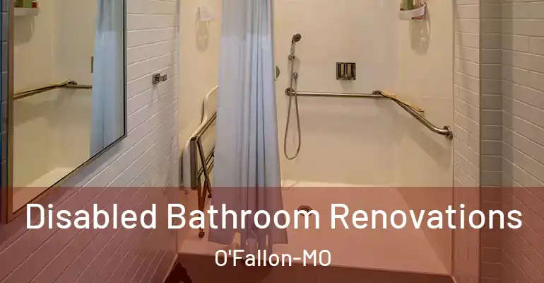 inner Bathroom imggen Disabled Bathroom Renovations O'Fallon-MO