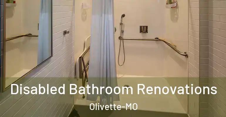 inner Bathroom imggen Disabled Bathroom Renovations Olivette-MO
