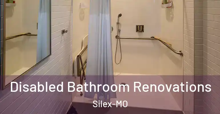 inner Bathroom imggen Disabled Bathroom Renovations Silex-MO